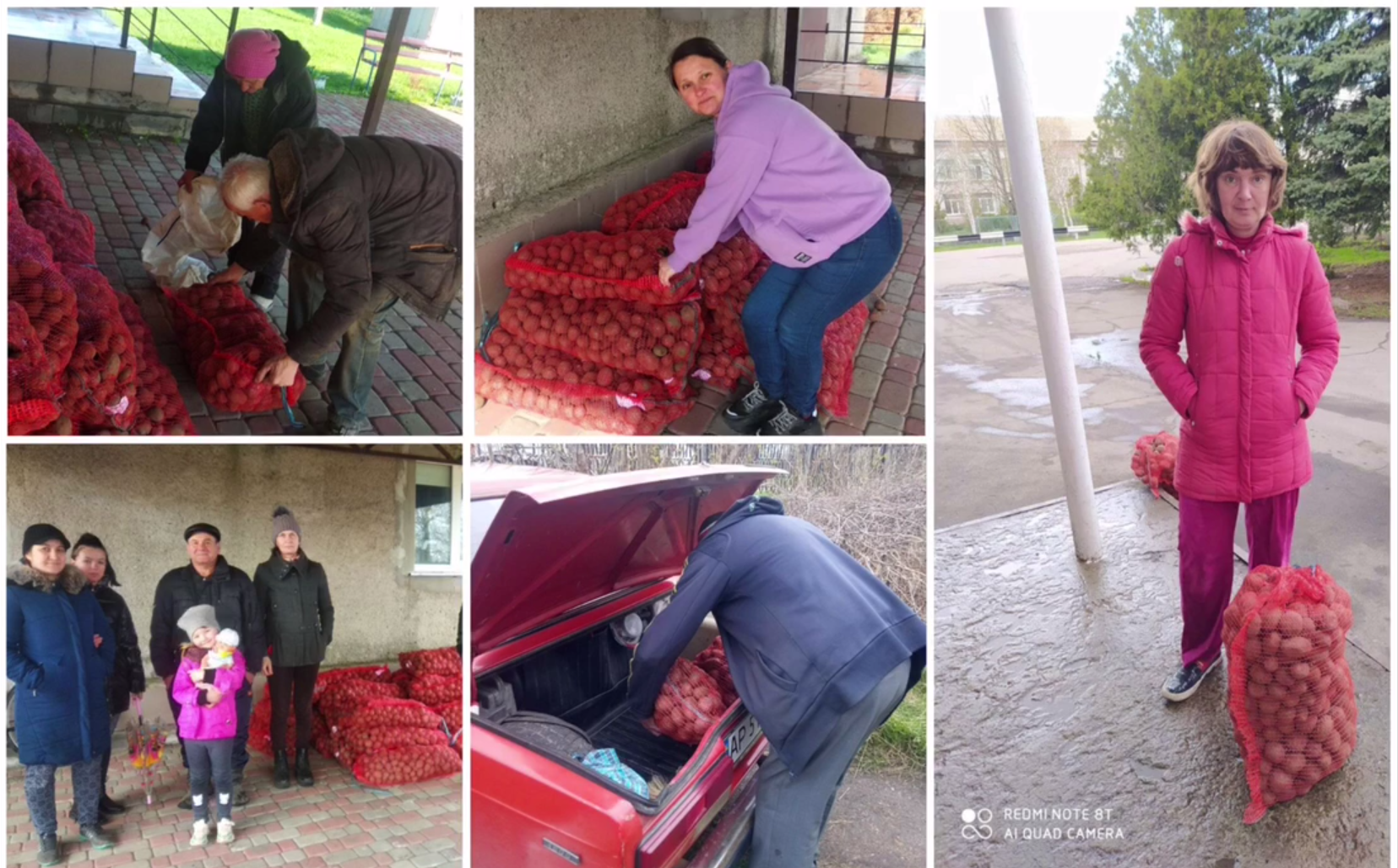 Додатково підтримка домогосподарств у Запорізькій області за Програмою ООН (ФАО) - насіння картоплі та овочів, 2022 20
