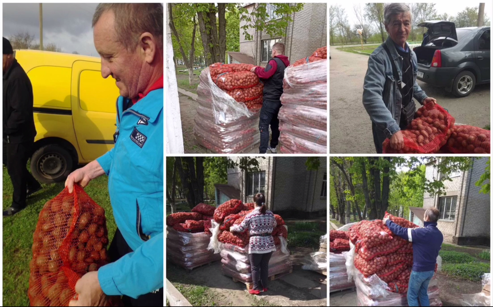 Додатково підтримка домогосподарств у Запорізькій області за Програмою ООН (ФАО) - насіння картоплі та овочів, 2022 19