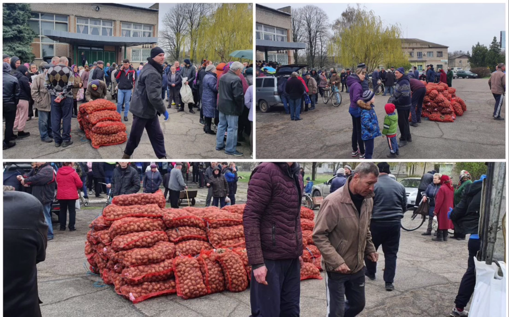 Додатково підтримка домогосподарств у Запорізькій області за Програмою ООН (ФАО) - насіння картоплі та овочів, 2022 15