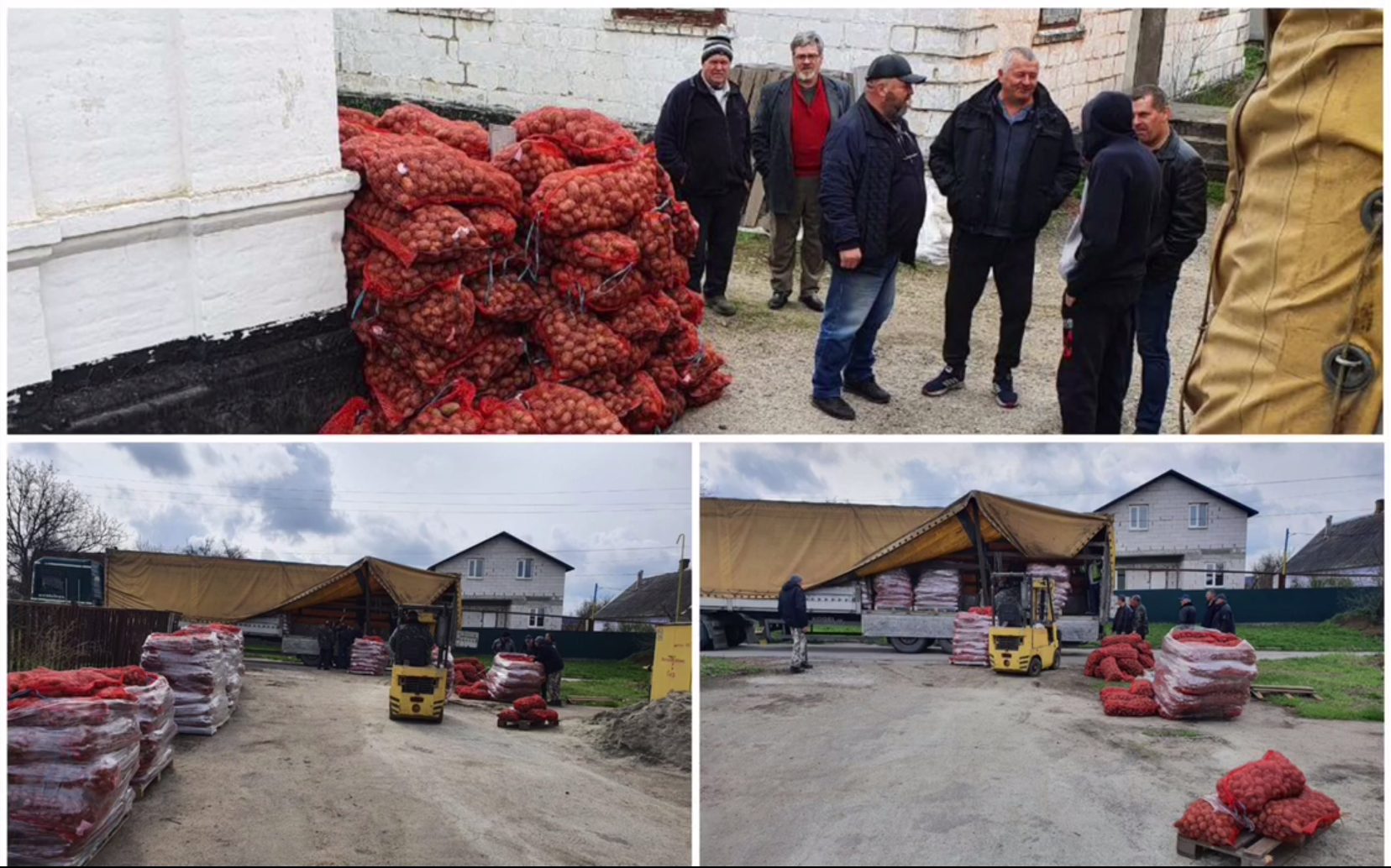 Додатково підтримка домогосподарств у Запорізькій області за Програмою ООН (ФАО) - насіння картоплі та овочів, 2022 13