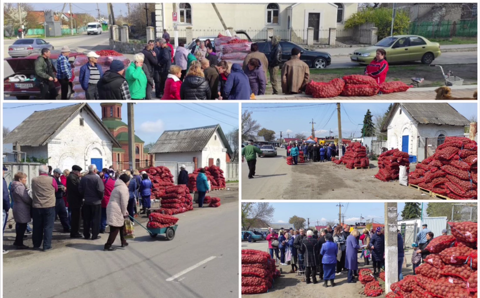 Додатково підтримка домогосподарств у Запорізькій області за Програмою ООН (ФАО) - насіння картоплі та овочів, 2022 11