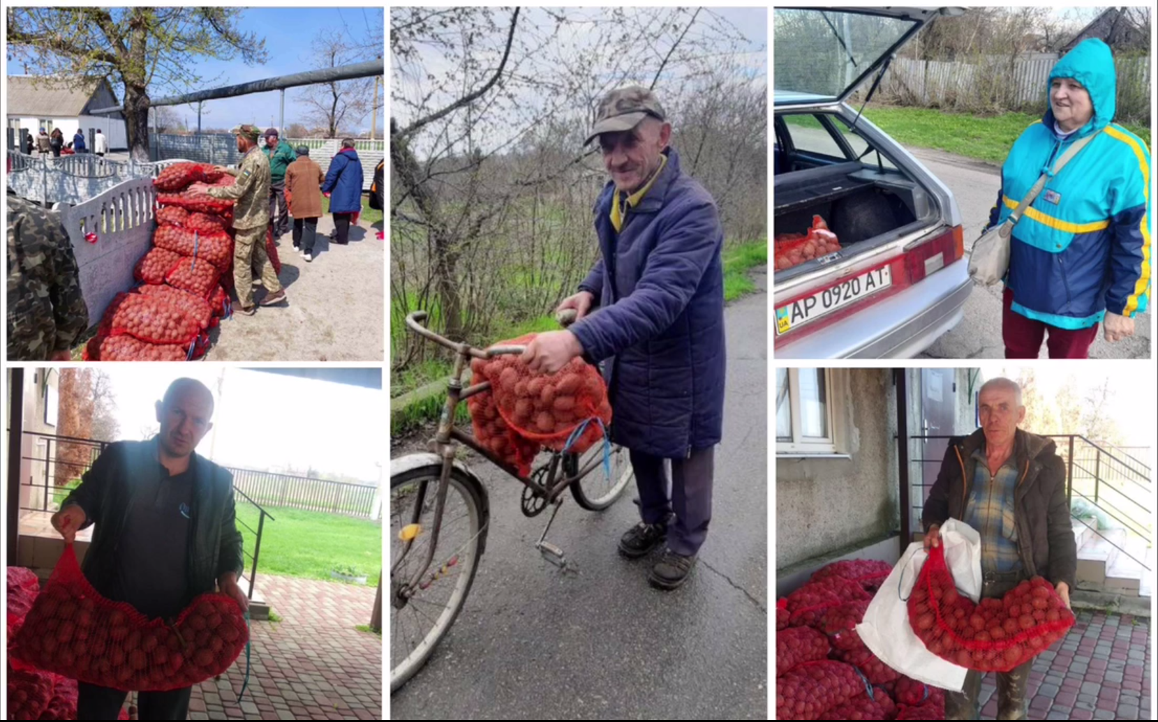 Додатково підтримка домогосподарств у Запорізькій області за Програмою ООН (ФАО) - насіння картоплі та овочів, 2022 9