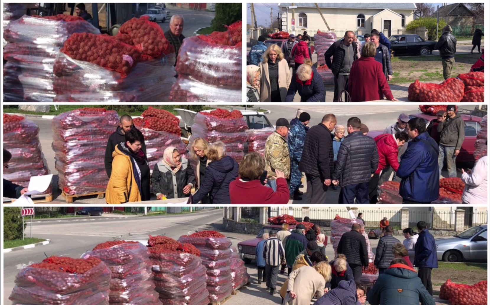Додатково підтримка домогосподарств у Запорізькій області за Програмою ООН (ФАО) - насіння картоплі та овочів, 2022 4
