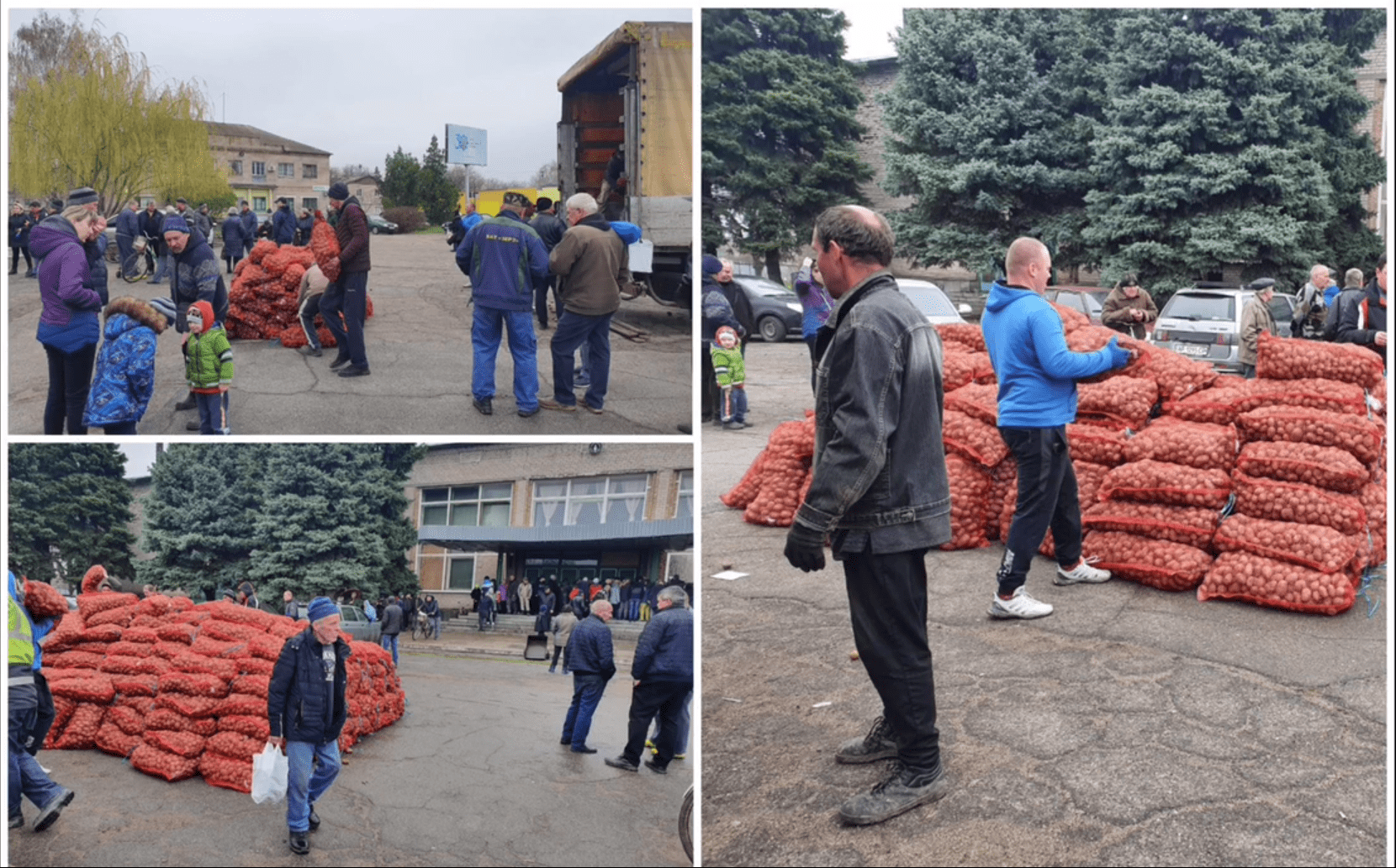 Додатково підтримка домогосподарств у Запорізькій області за Програмою ООН (ФАО) - насіння картоплі та овочів, 2022 12