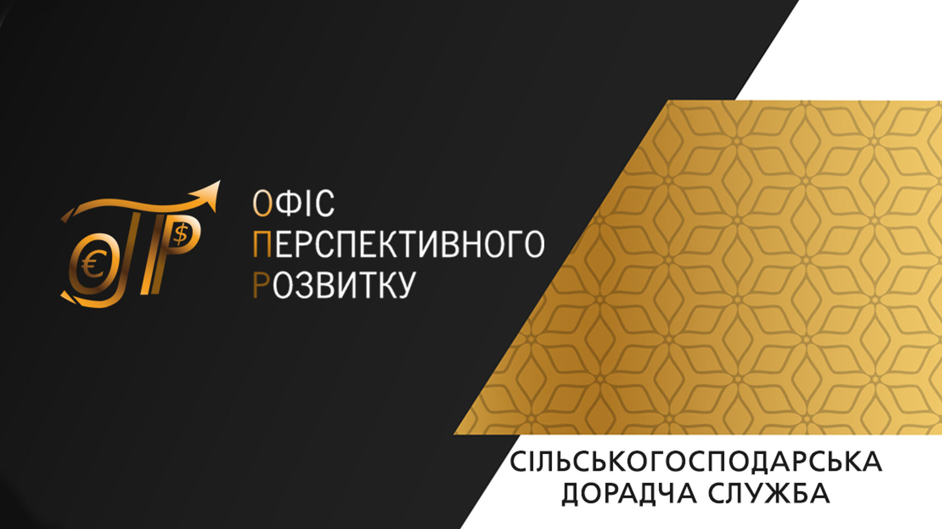 Додатково підтримка домогосподарств у Запорізькій області за Програмою ООН (ФАО) - насіння картоплі та овочів, 2022 24