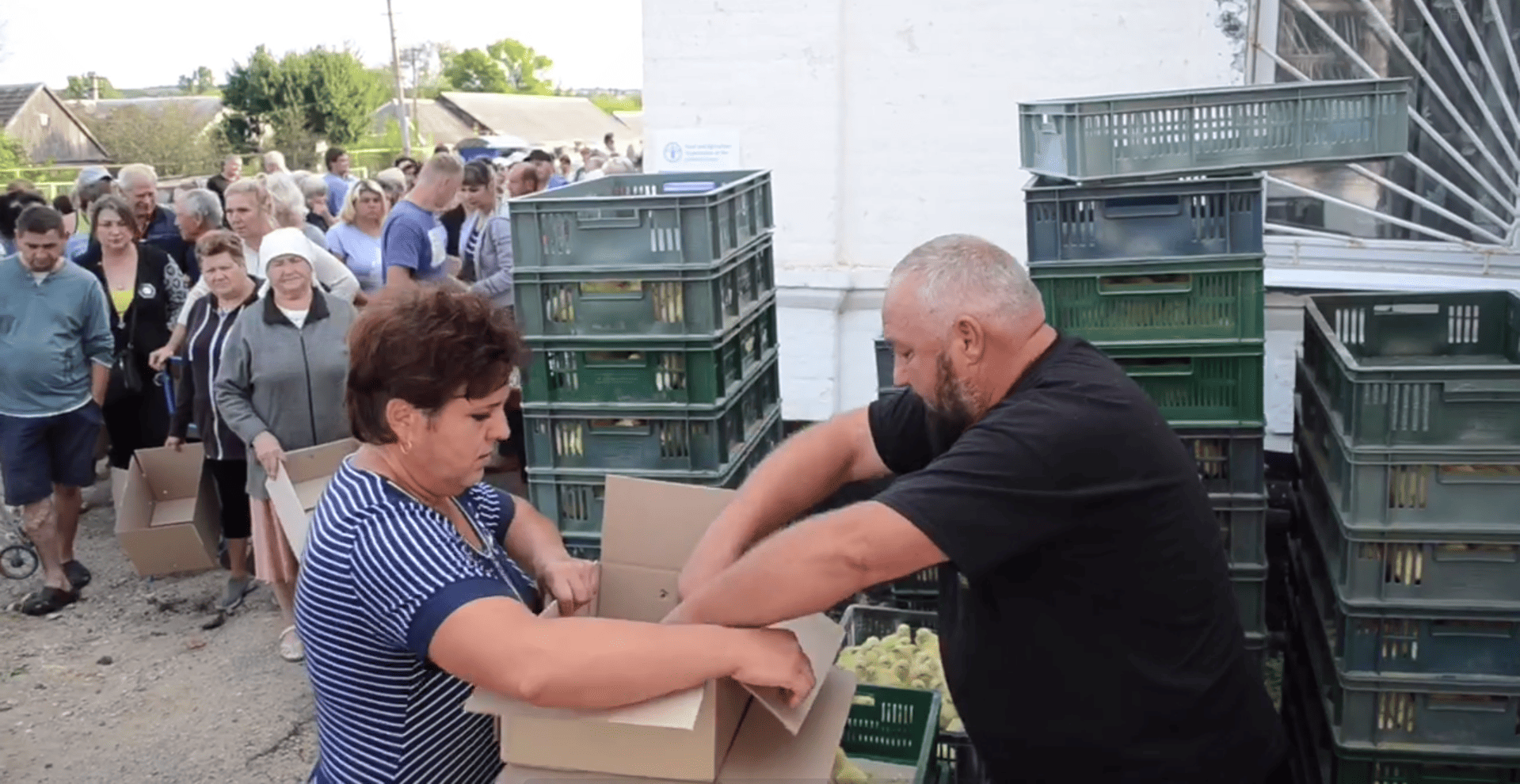 Додатково сезонна підтримка селянських господарств у Запорізькій області за Програмою ООН (ФАО) (курчата, 2023) 8