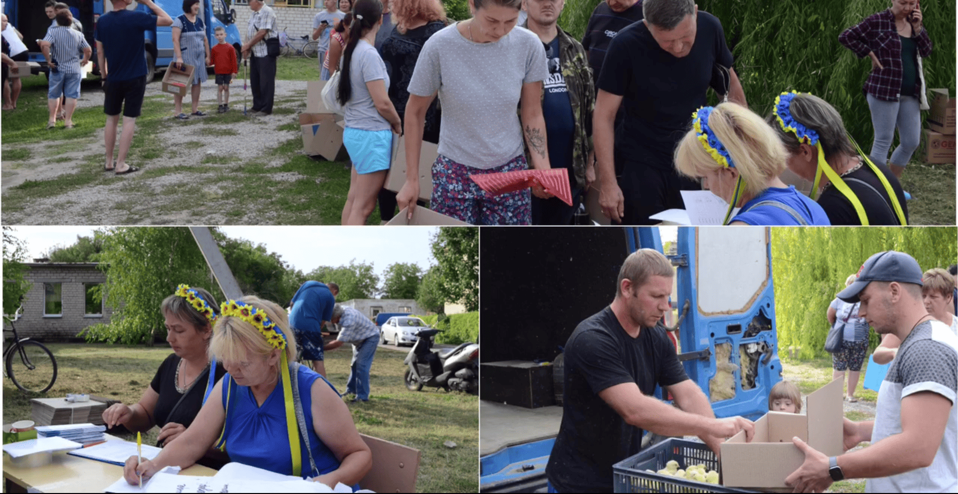 Додатково сезонна підтримка селянських господарств у Запорізькій області за Програмою ООН (ФАО) (курчата, 2023) 15