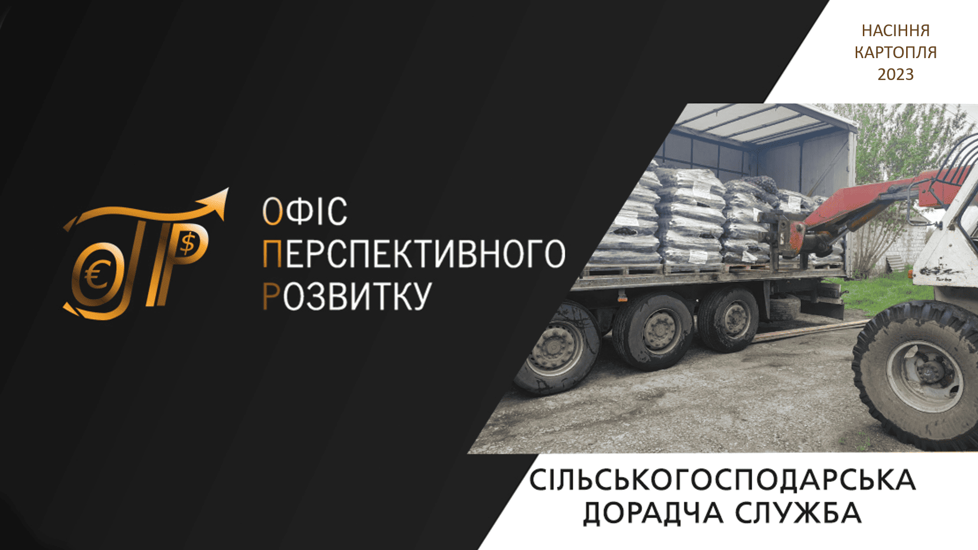 Підтримка домогосподарств Запорізької області насінням картоплі та овочів за програмами ФАО ООН, 2023